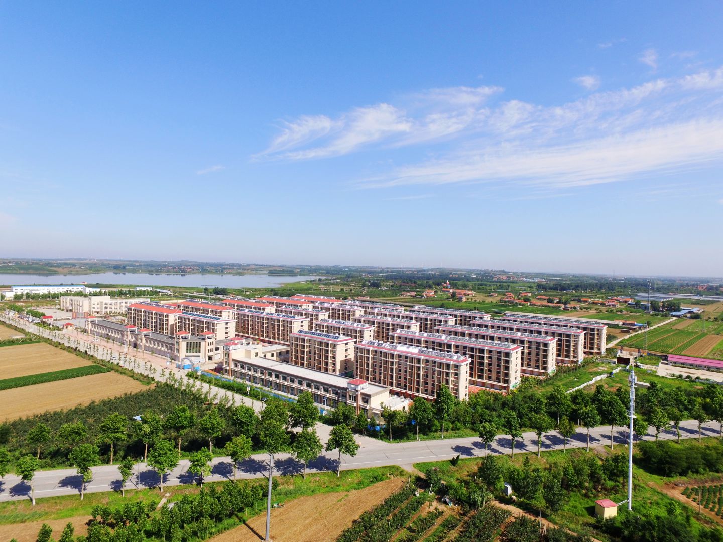 av直播
莱西平度公司河头店镇龙泉湖社区项目实景图01_compressed